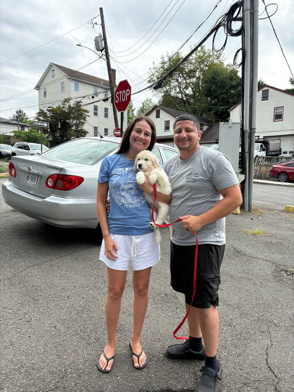 Pet travel photo 1