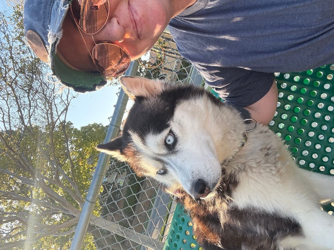 Pet travel photo 5