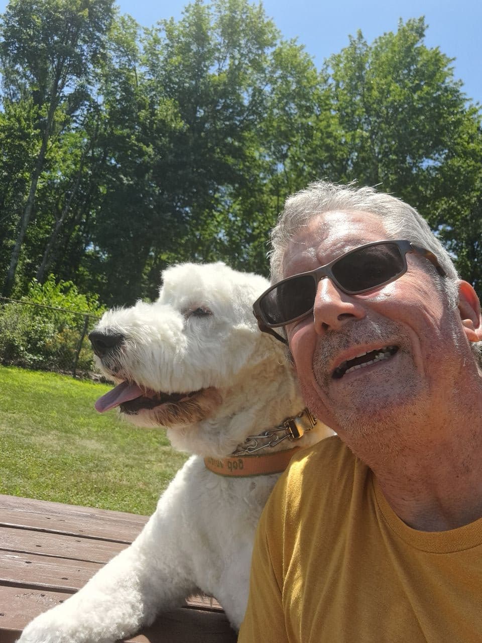 Pet travel photo 2