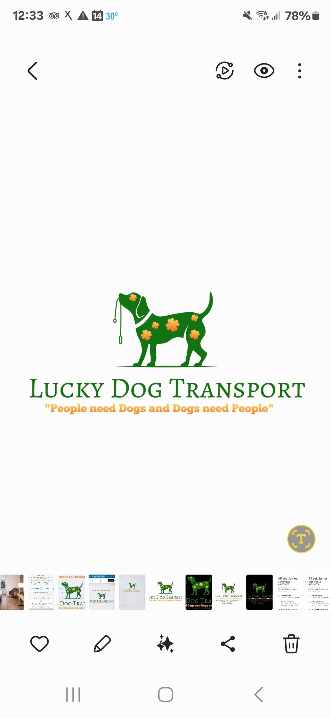 Lucky Dog Transport TN