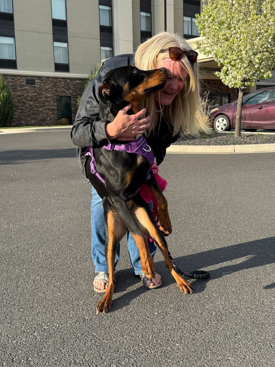 Pet travel photo 1