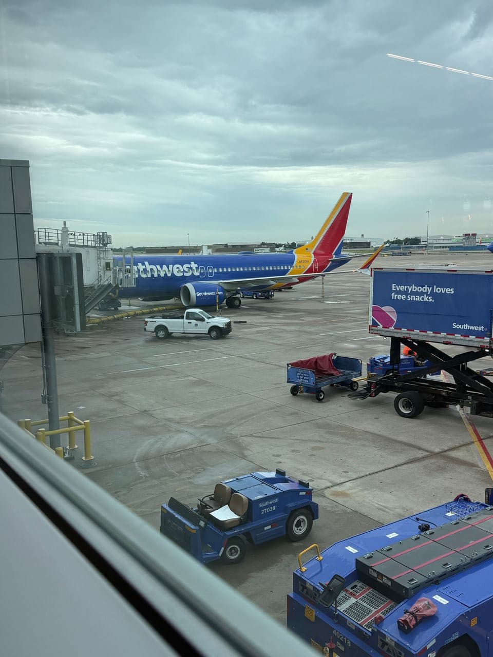 Pet travel photo 2