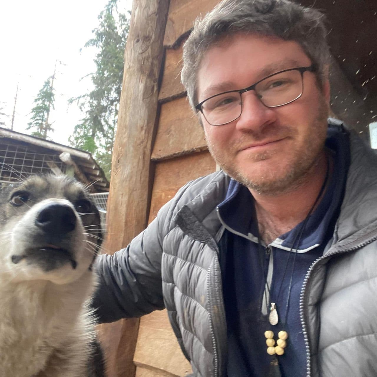 Pet travel photo 5