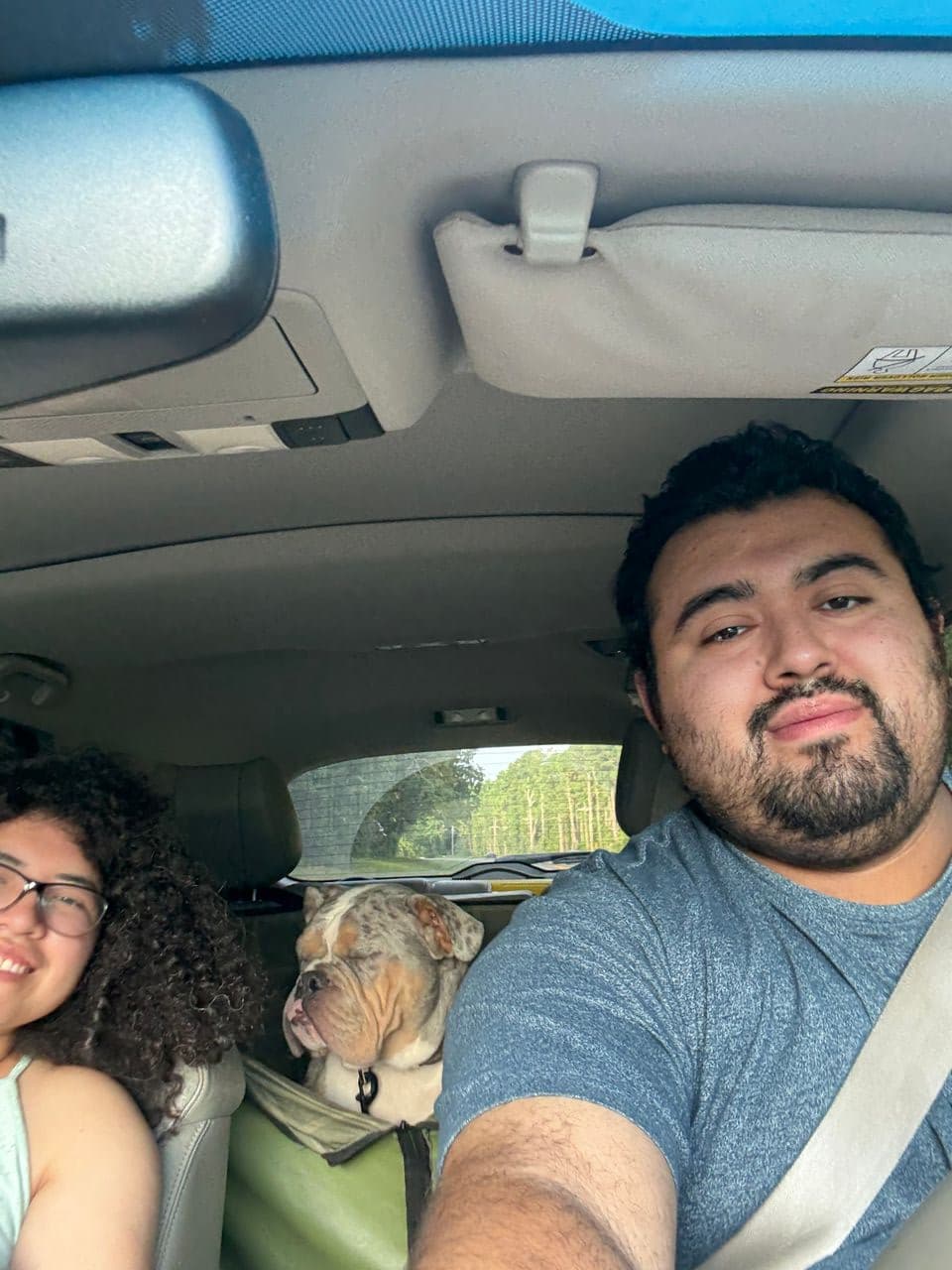 Pet travel photo 4