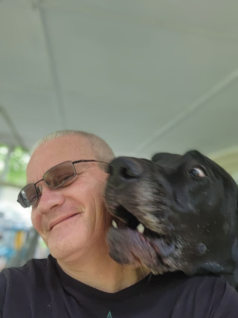 Pet travel photo 3
