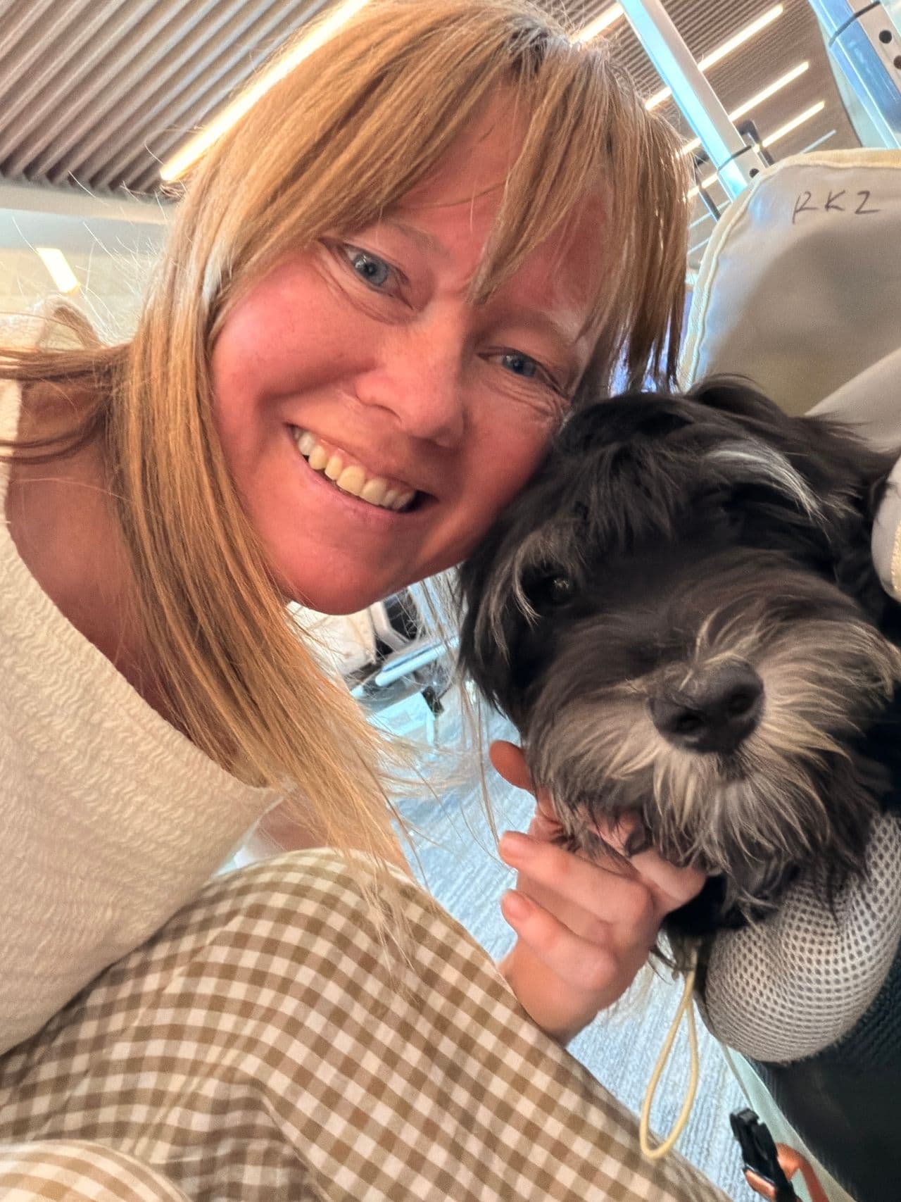 Pet travel photo 5