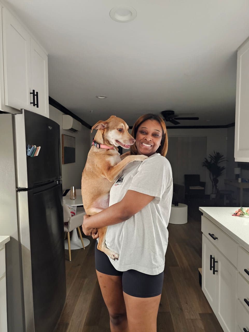 Pet travel photo 5