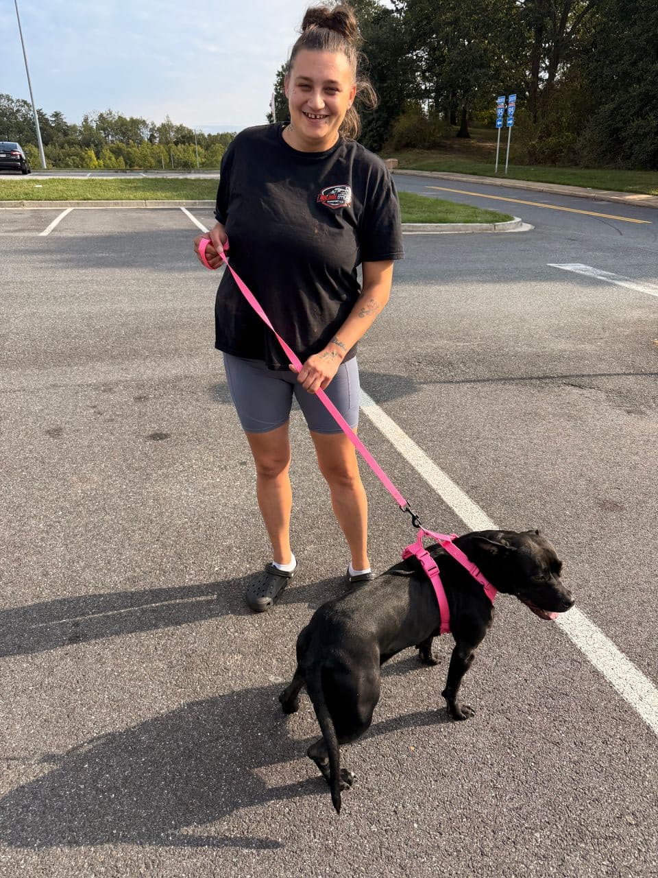 Pet travel photo 3
