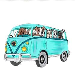 Roadmap Transportation llc