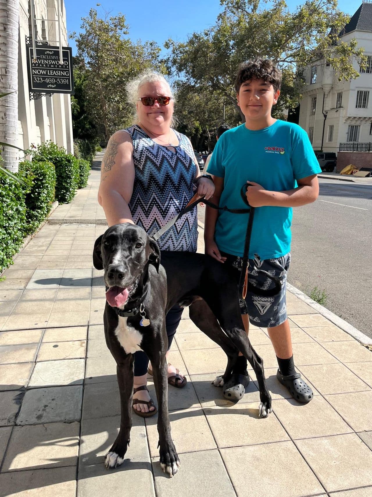 Pet travel photo 4