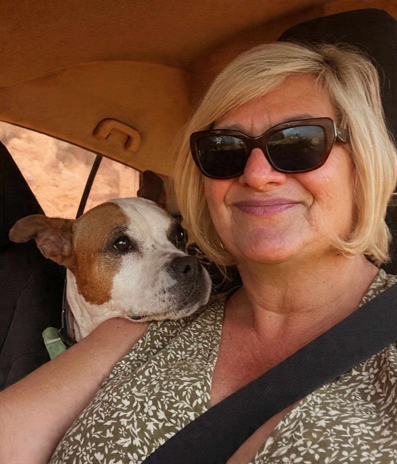 Pet travel photo 5