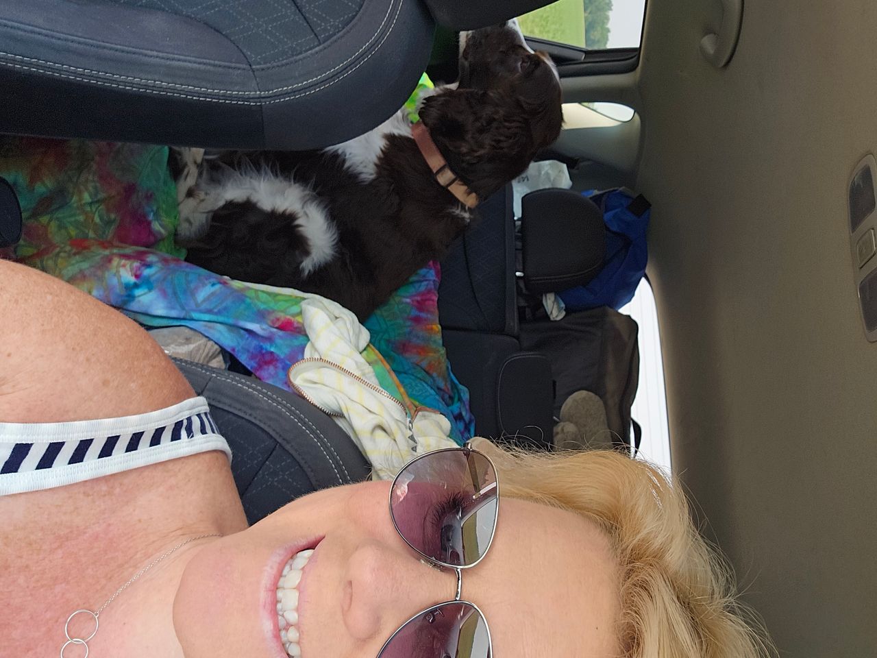 Pet travel photo 3