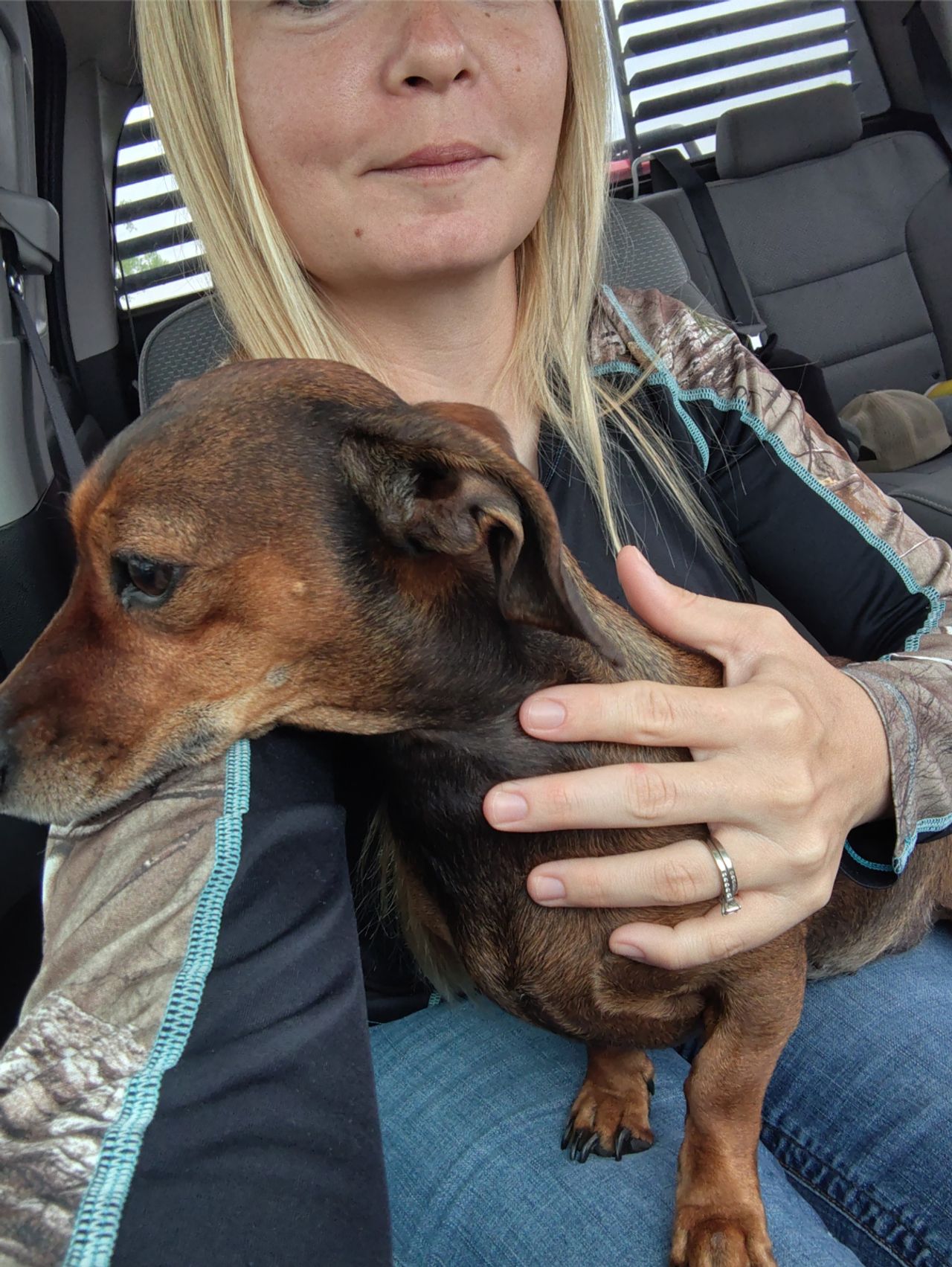Pet travel photo 1