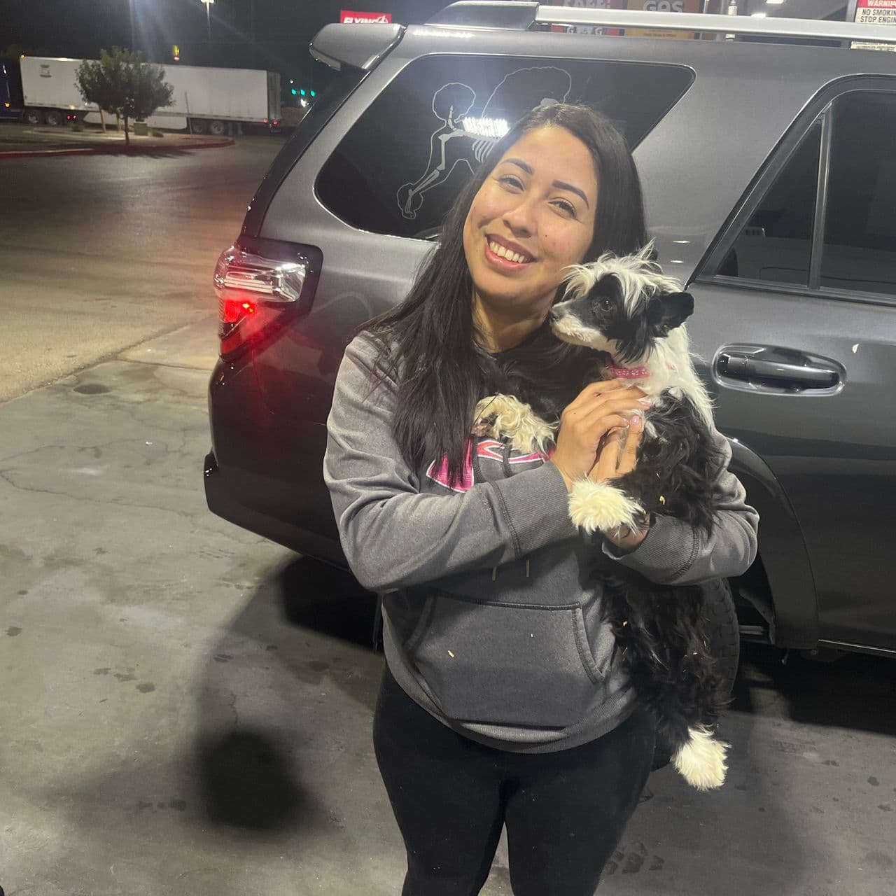 Pet travel photo 2
