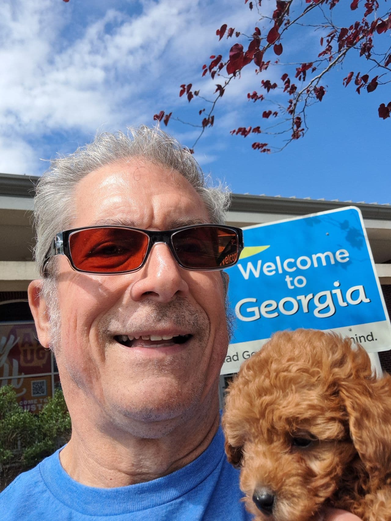 Pet travel photo 4
