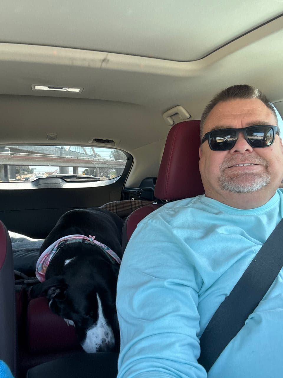 Pet travel photo 2