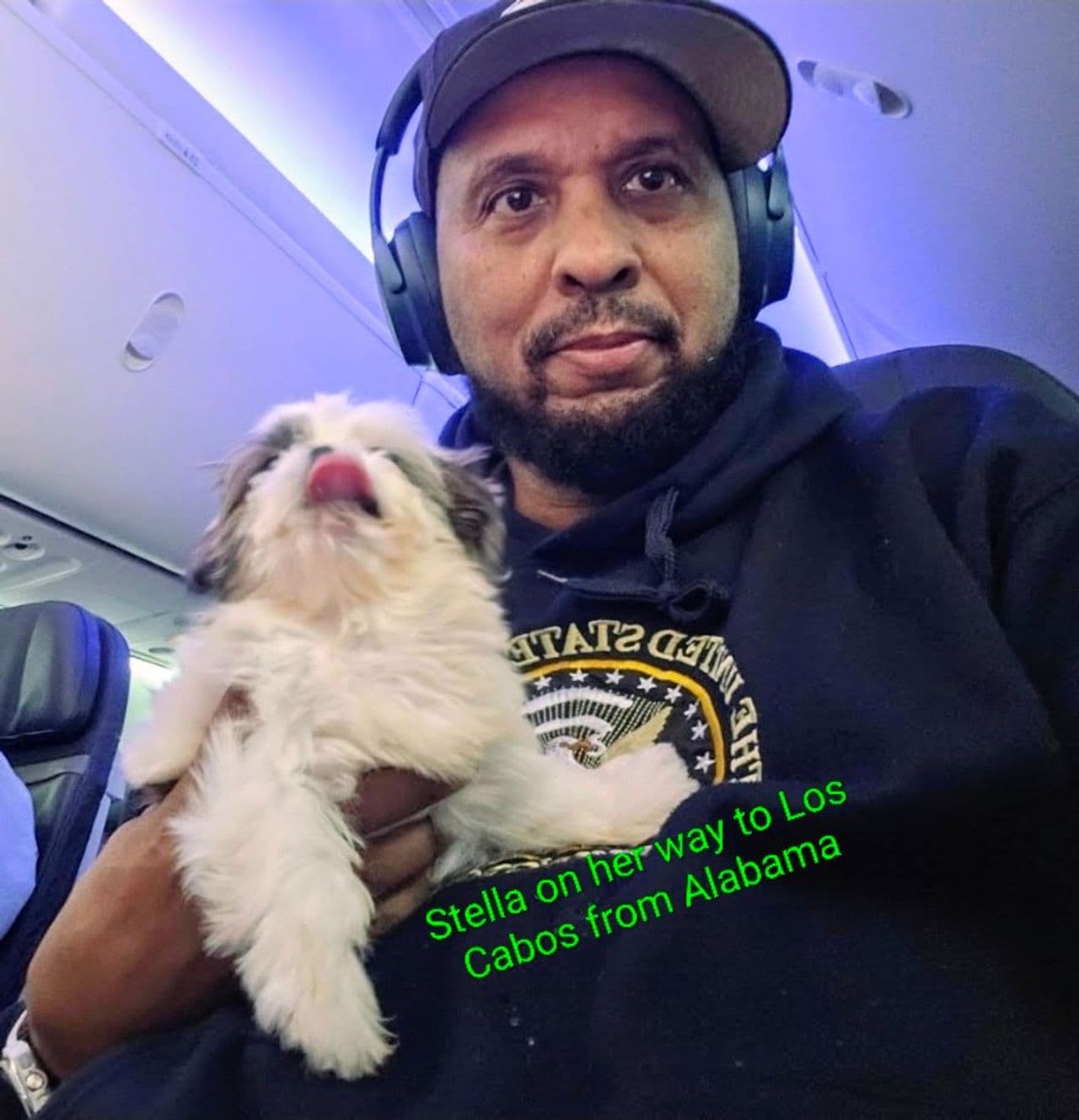 Pet travel photo 2