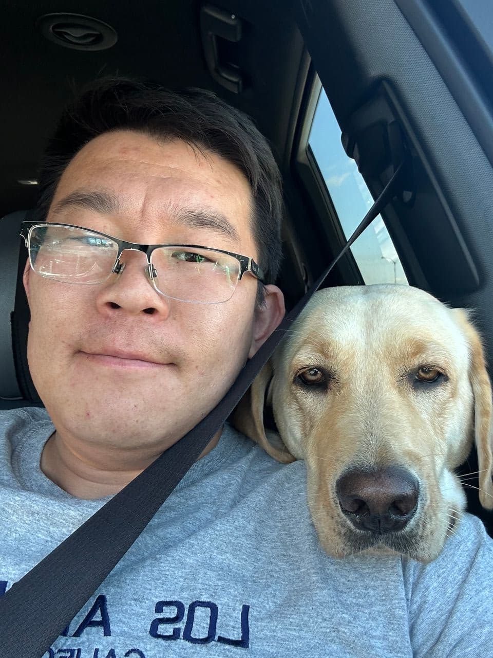 Pet travel photo 2