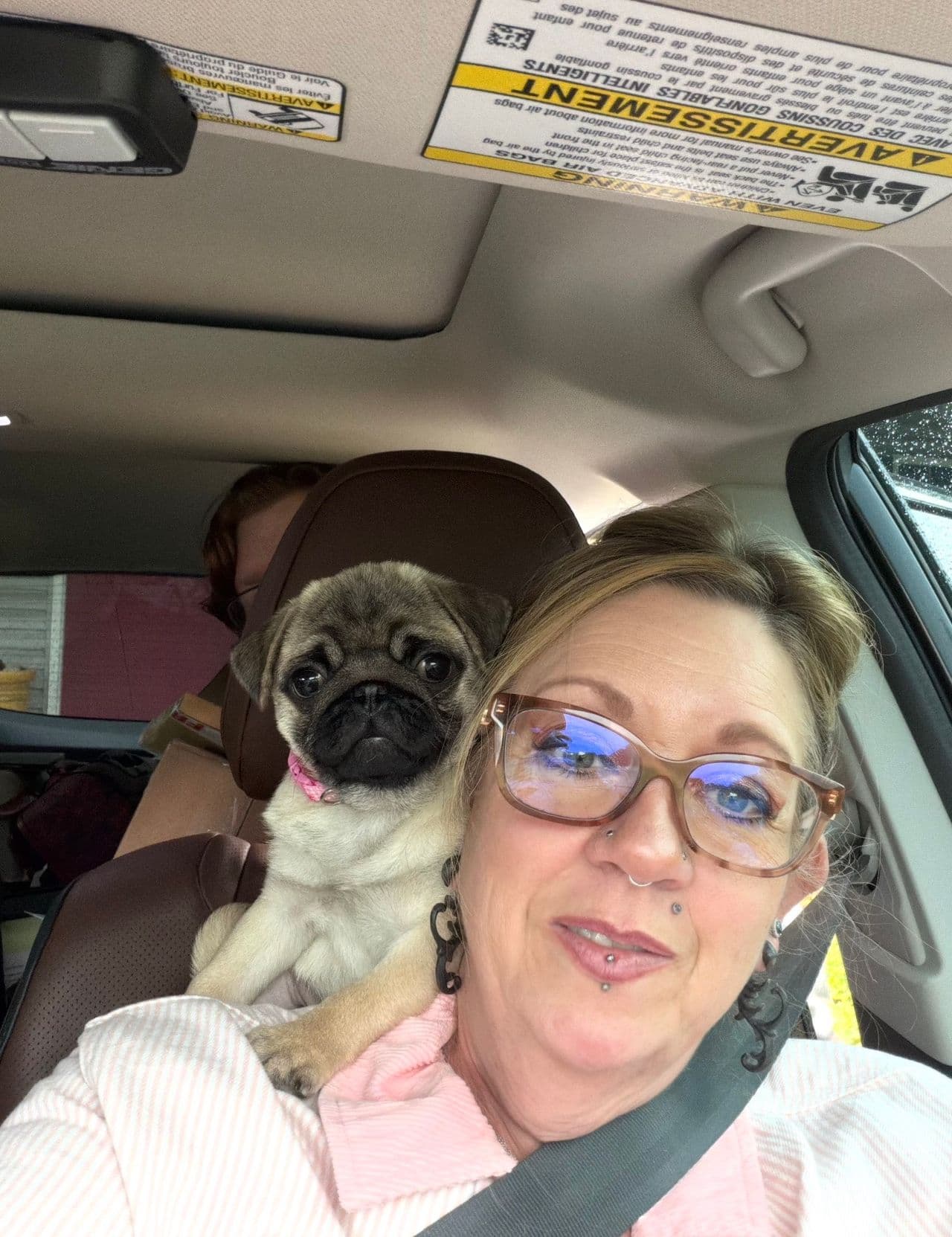 Pet travel photo 1