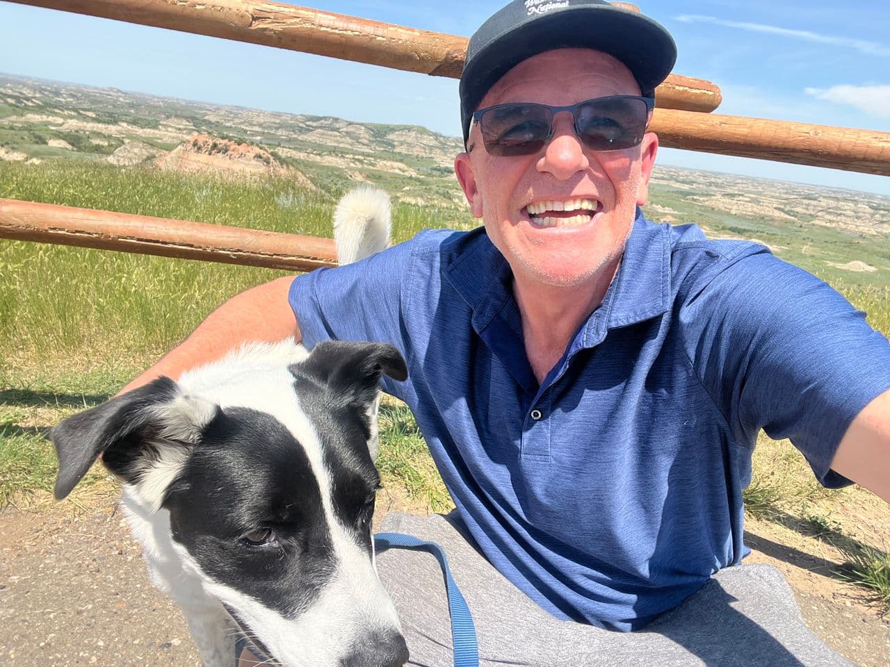 Pet travel photo 5