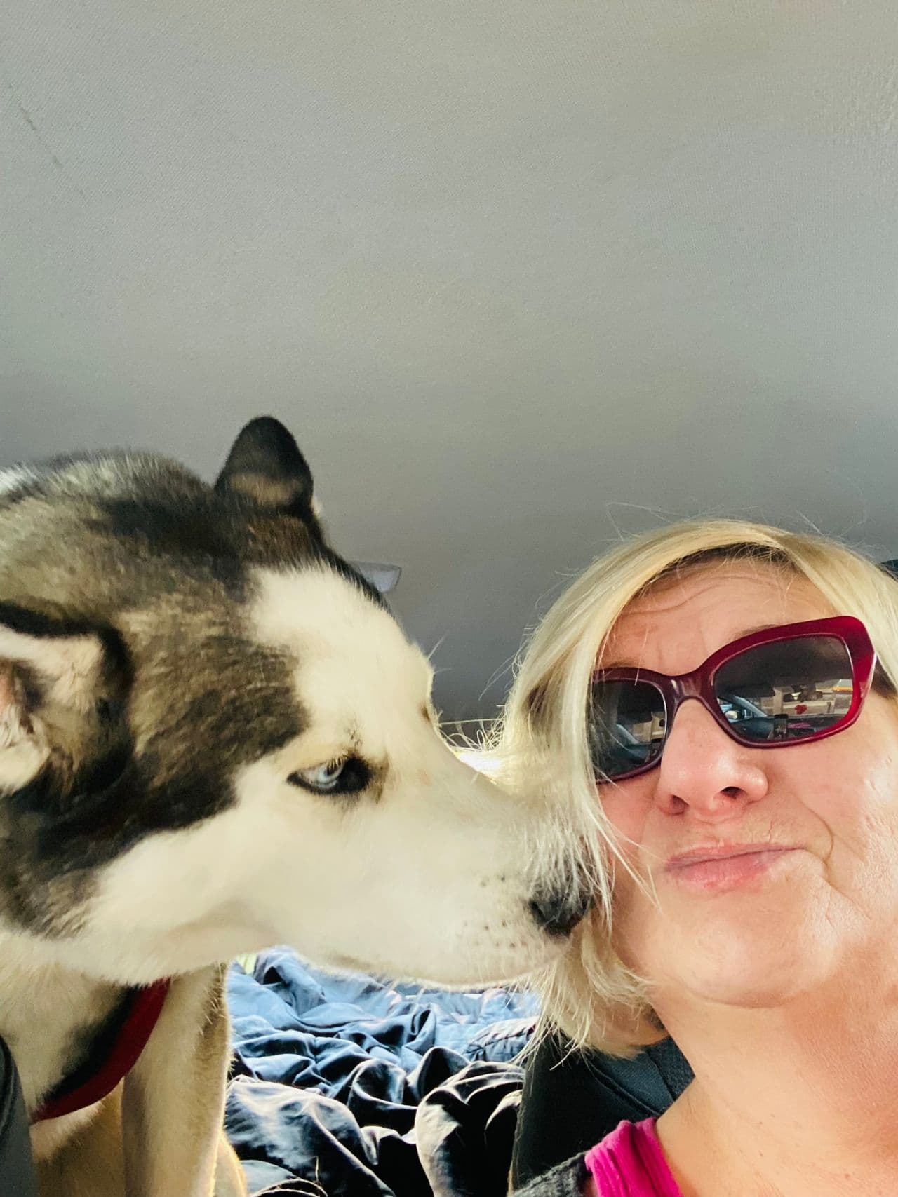Pet travel photo 4