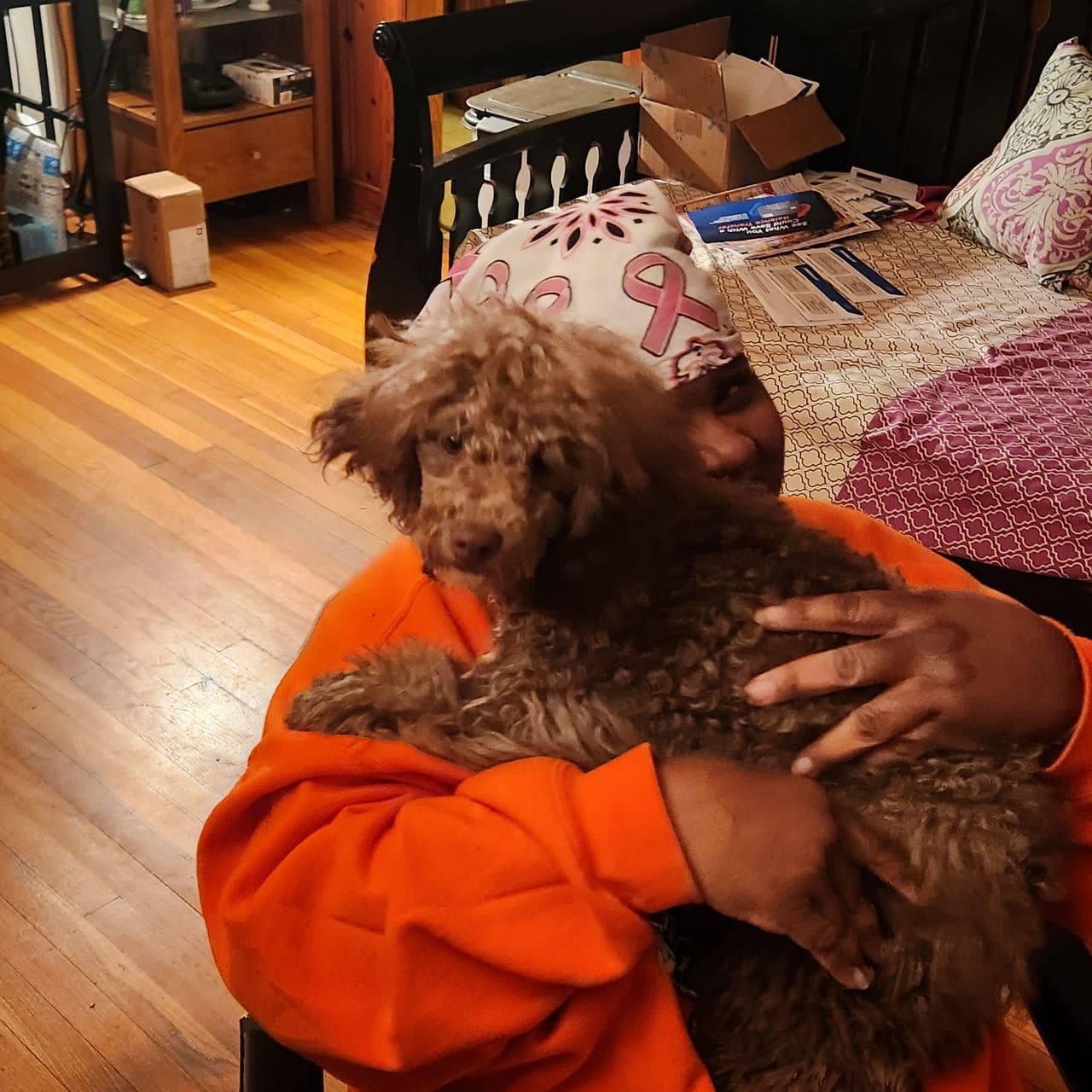 Pet travel photo 4