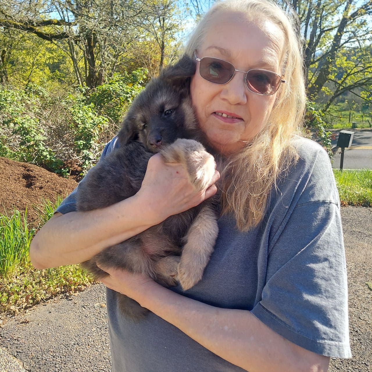 Pet travel photo 1