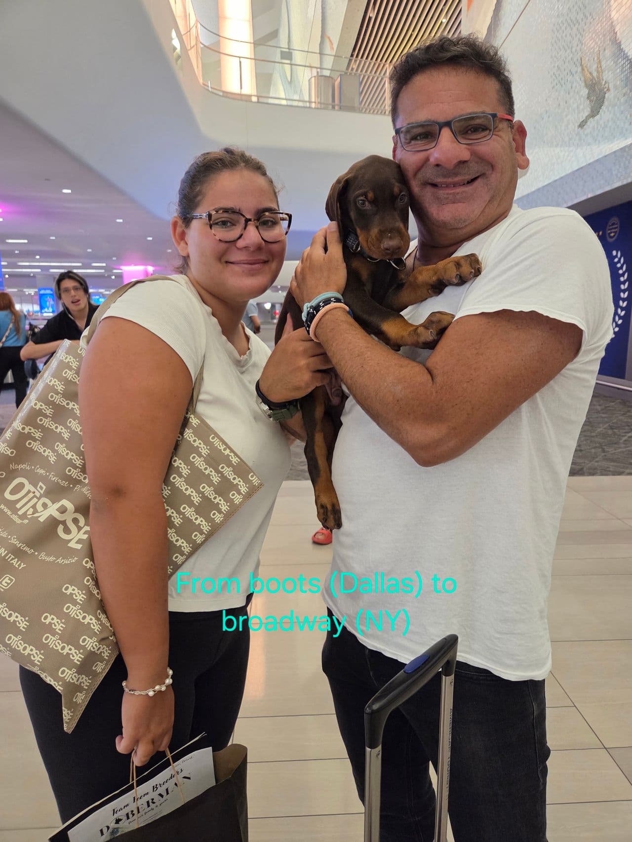 Pet travel photo 2