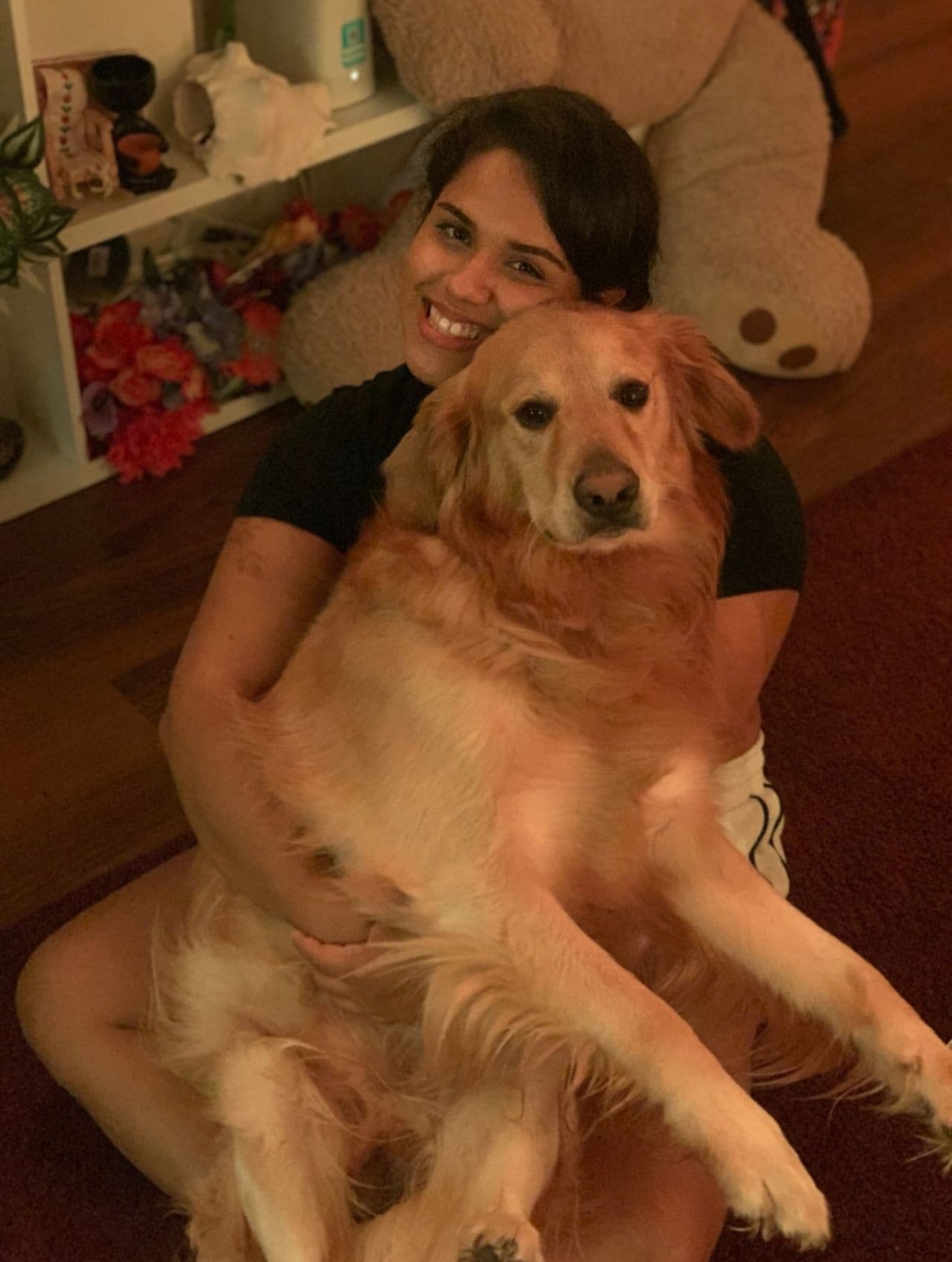 Pet travel photo 4