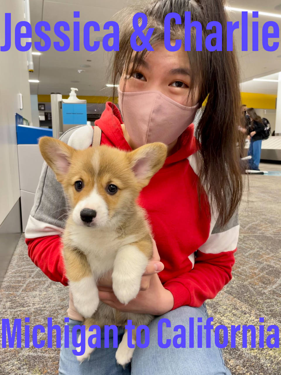 Pet travel photo 6