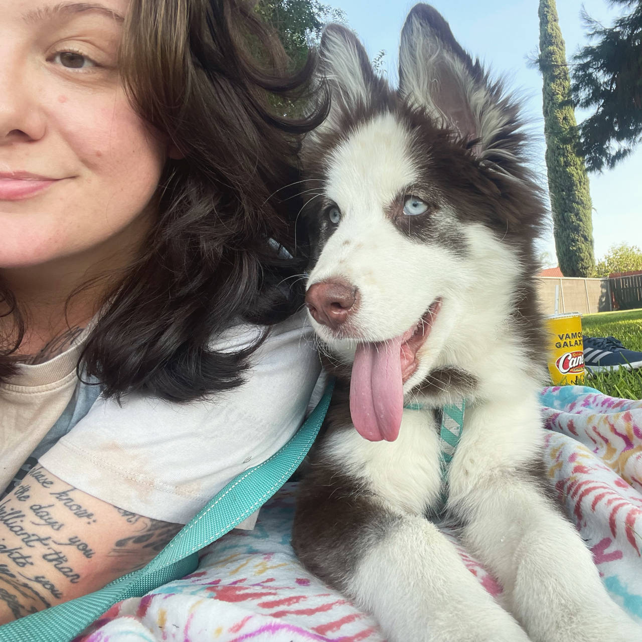 Lakeport, CA reviews