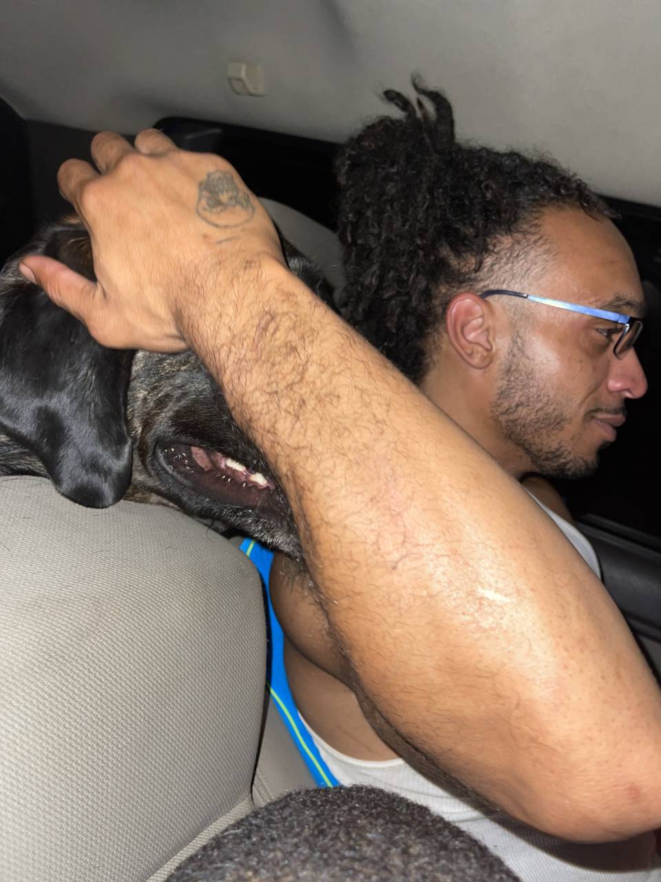 Pet travel photo 2