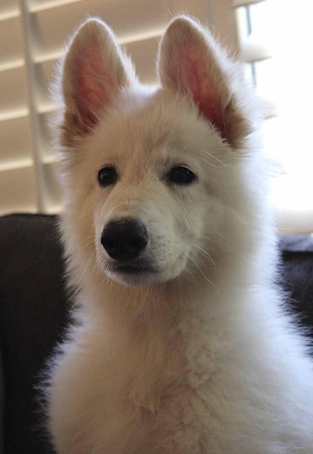Doesn’t have a name yet!!
