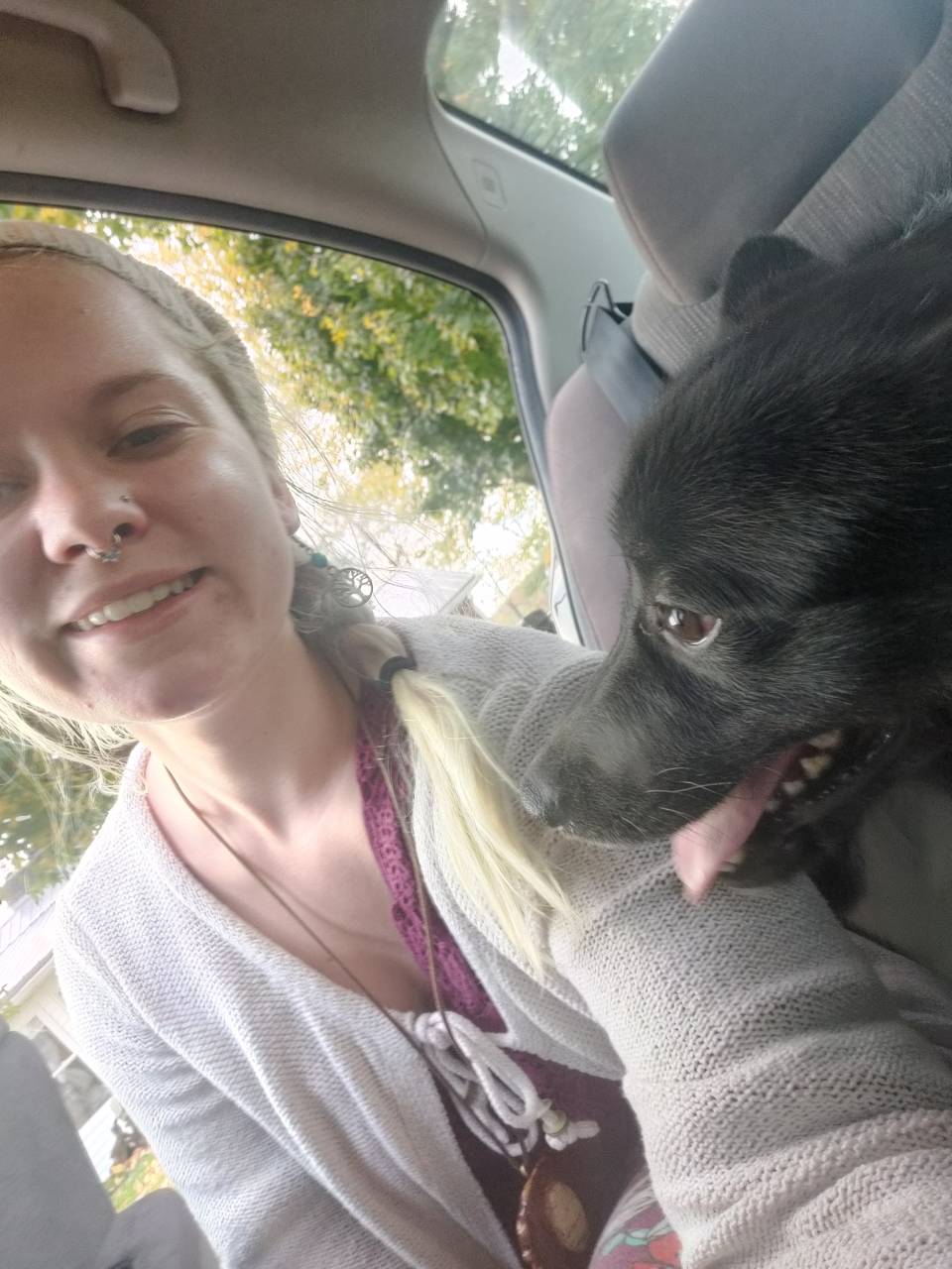 Pet travel photo 4