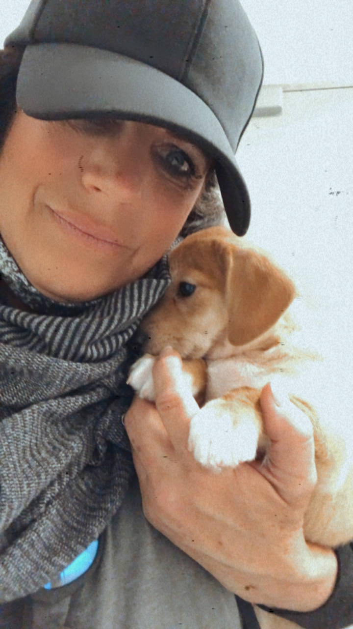 Pet travel photo 4