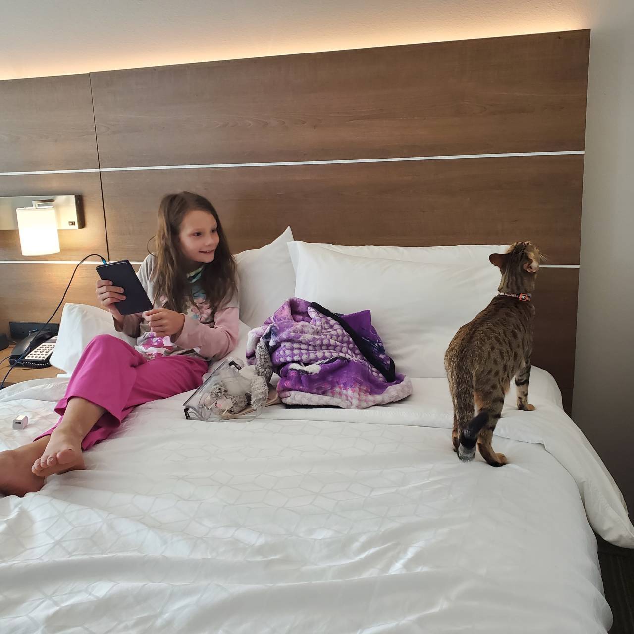 Pet travel photo 3