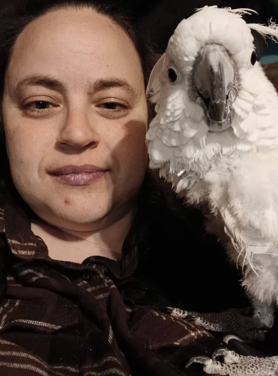 Wild Wolf Transportation, LLC.