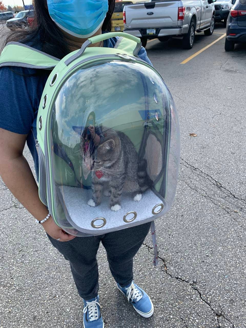 Pet travel photo 1