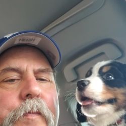 Pet pal where your pet is my pal