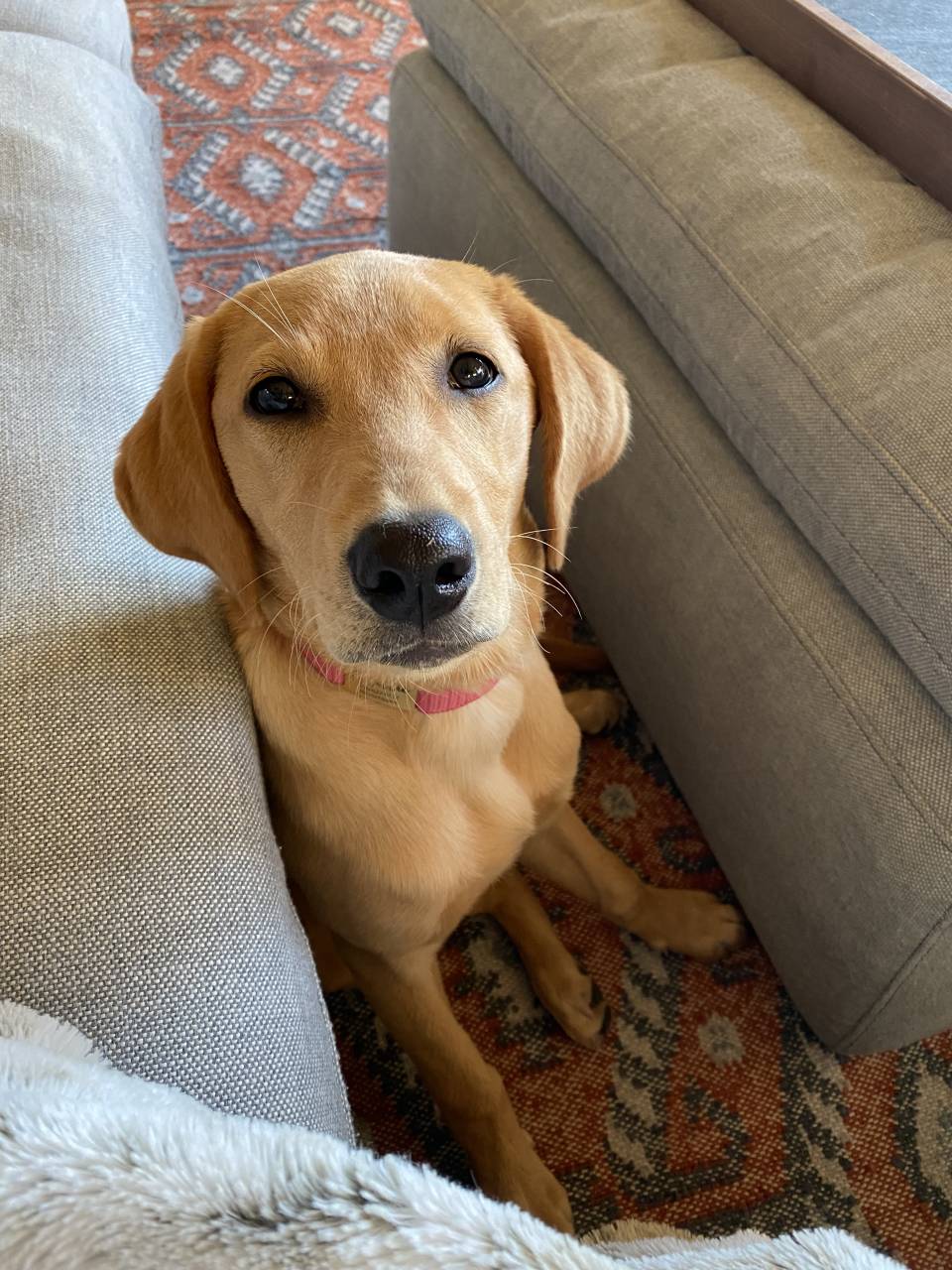 Millie