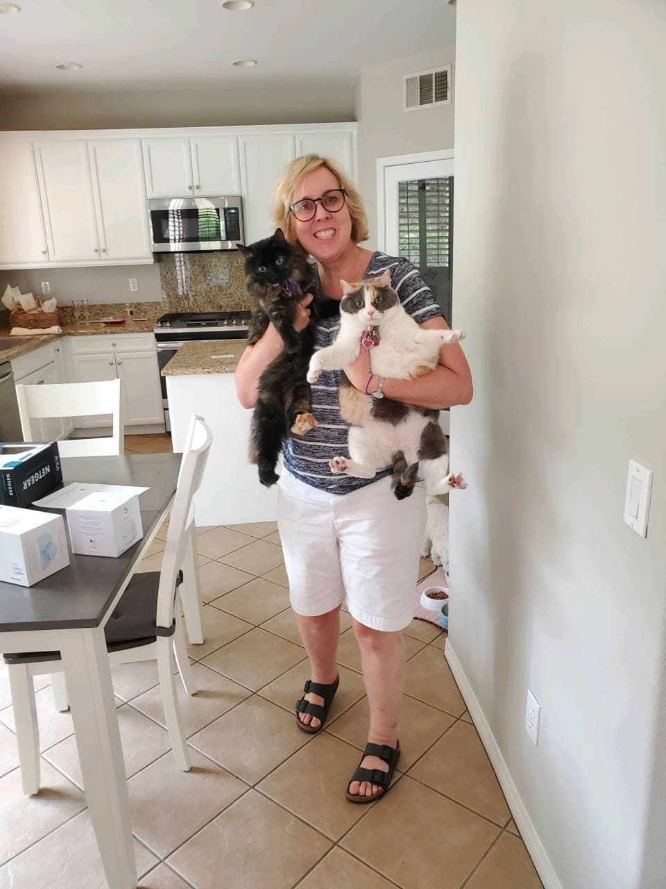 Pet travel photo 5