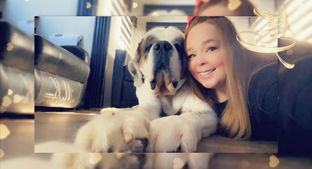 K9 Comfort Paws (fly with your dog)