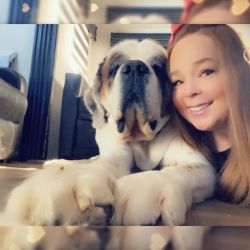 K9 Comfort Paws (fly with your dog)
