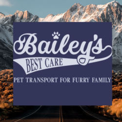 Bailey's Best Care Pet Transport