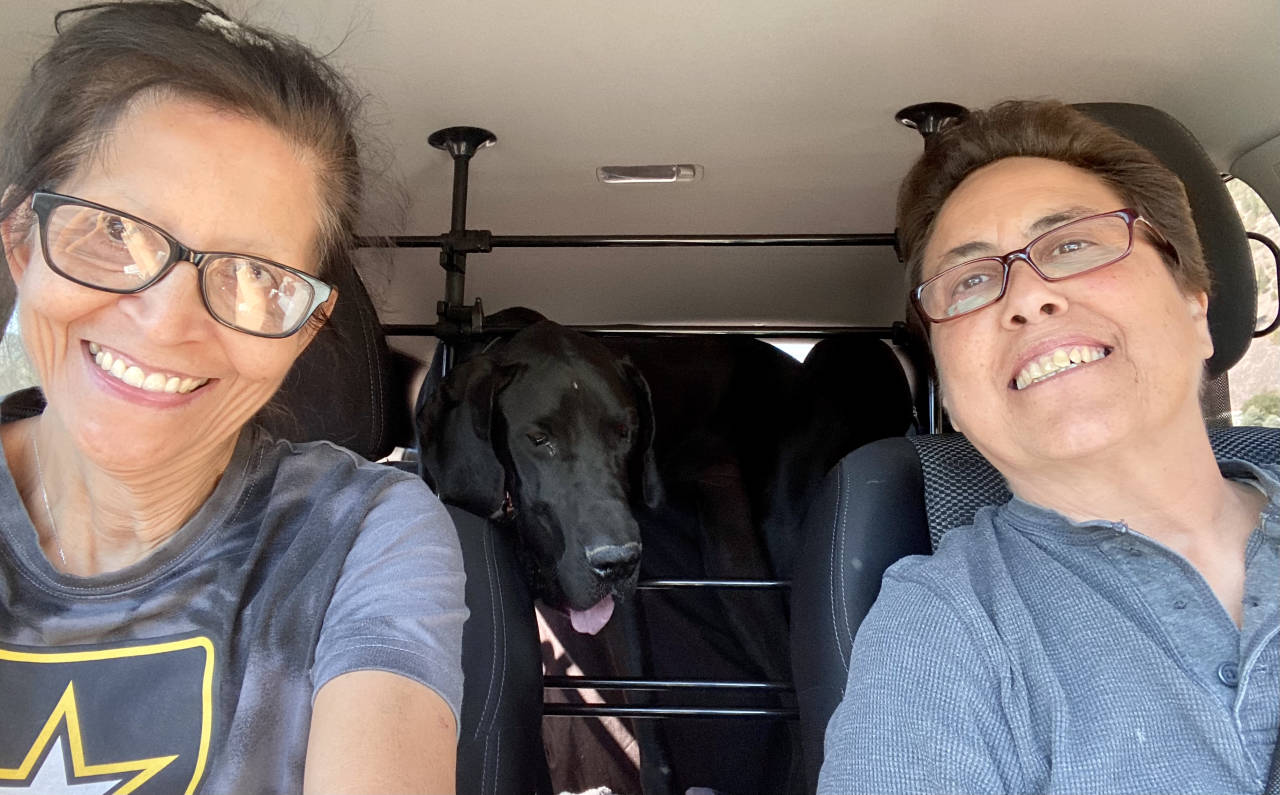 Pet travel photo 5