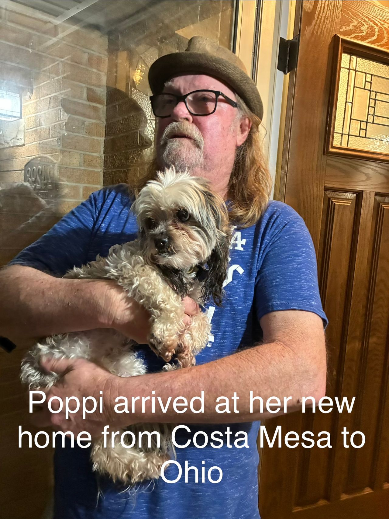 Pet travel photo 5