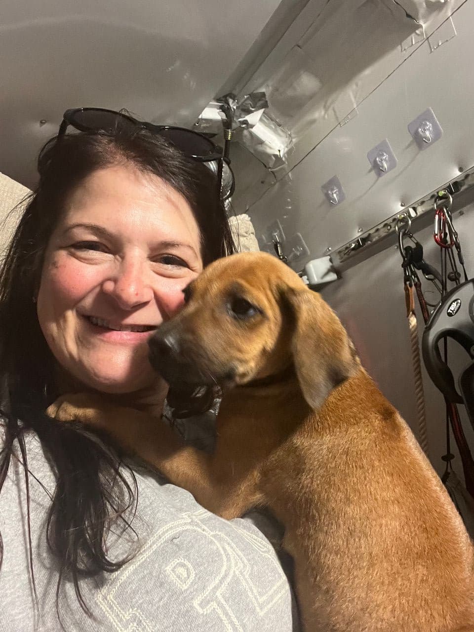 Pet travel photo 5