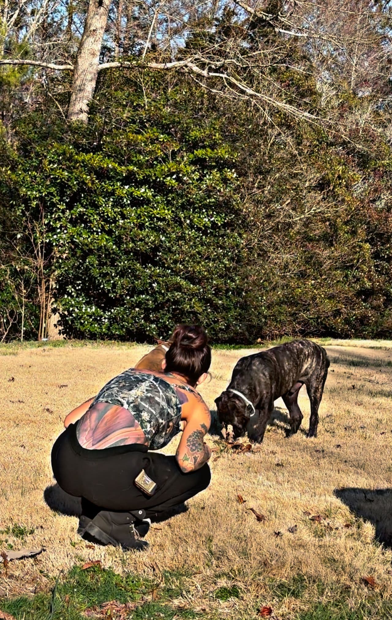 Pet travel photo 6