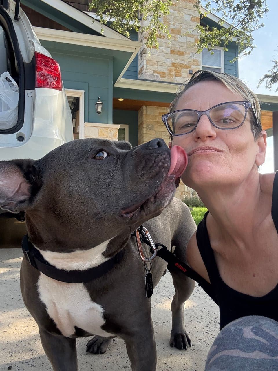 Pet travel photo 6