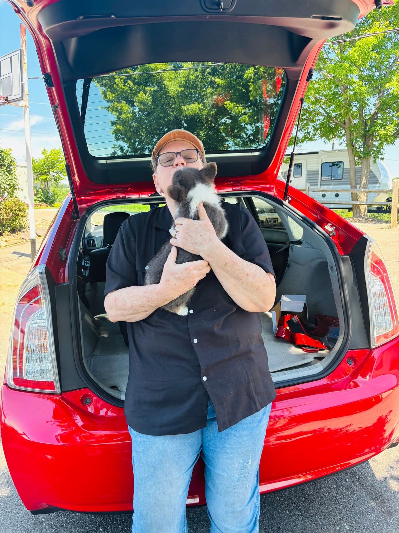 Pet travel photo 1